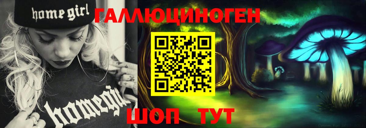 Кировск  Псилоцибиновые грибы Cubensis  Вход с VPN  Галлюциногенные грибы мухоморы 
